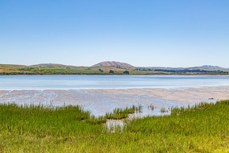 Looking out over Tomales Bay near Point Reyes in California, on a sunny summers day