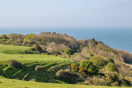 Looking out to sea from St Catherine's Down on the Isle of Wight, on a sunny spring morning