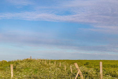 The Sussex countryside with a blue sky overheadの写真素材