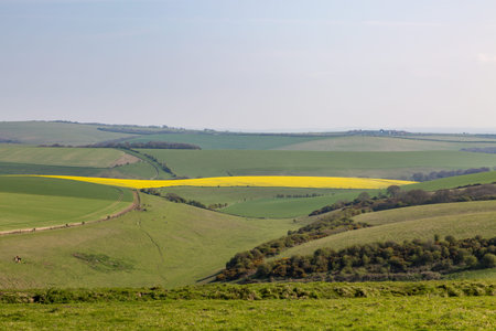 An Idyllic South Downs Landscape in Sussex, on a Sunny Spring Day