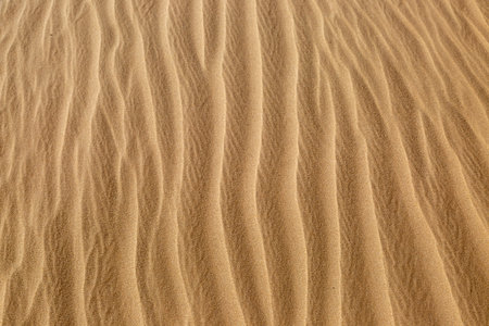 A full frame photograph of ripples in the sand