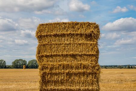 A haystack in a field in Kent, after harvestingの写真素材