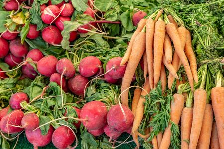 A display of carrots and radishes for sale on a market stallの写真素材