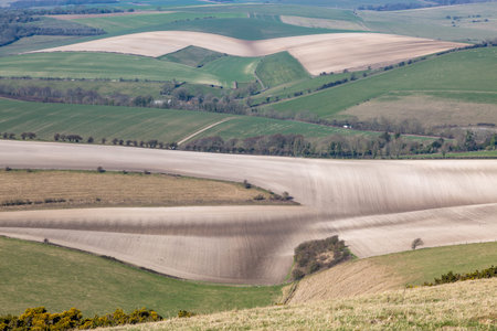 A full frame photograph of a rolling Sussex landscape, on a sunny late winter day