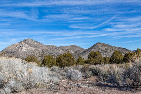 A view of desert and mountains in Nevada, with a blue sky overhead