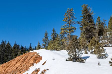 A snowy Utah landscape on a sunny winters dayの写真素材