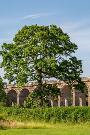 A tree in front of the Ouse Valley Viaduct in Sussex, on a sunny summer's dayの写真素材