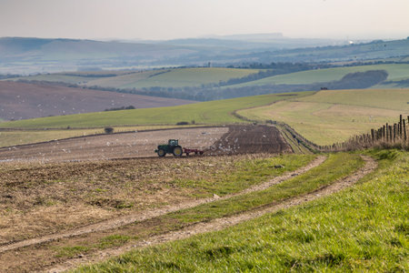 A tractor ploughing a field in the South Downs in Sussex, with birds flocking around