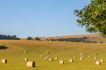 Hay bales in the Sussex countryside, on a sunny summer's morningの写真素材