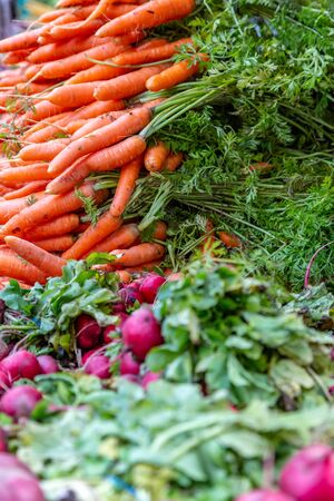 Carrots and Radishes for sale on a Market Stallの写真素材