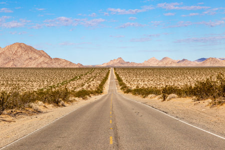 A long, straight road through the Californian desert