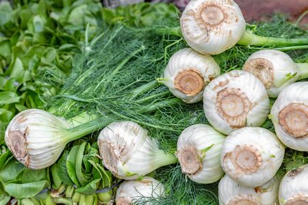 A Pile of Fennel Bulbs For Sale at a Farmers Marketの写真素材