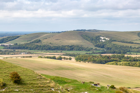 Looking across the South Downs towards Mount Caburn, from Firle Beacon