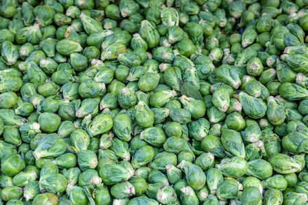 A full frame photograph of  sprouts for sale at a farmer's marketの写真素材