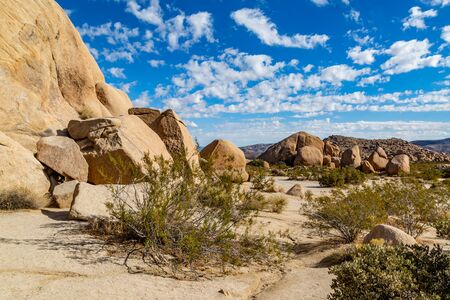 Rock formations in Joshua Tree National Park, Californiaの写真素材