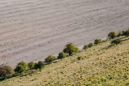 Looking down on a plowed field and green hillside, in Sussex