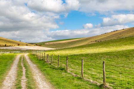 A pathway through farmland in the South Downs in Sussex
