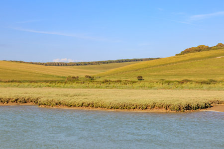 On the bank of the Cuckmere River in Sussexの写真素材