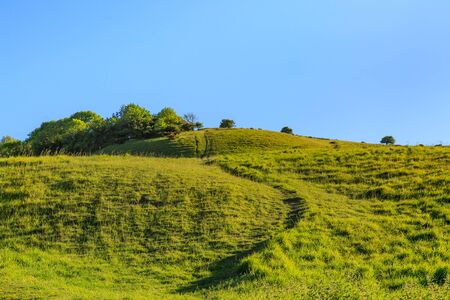 A pathway up a green hillside in the South Downsの写真素材