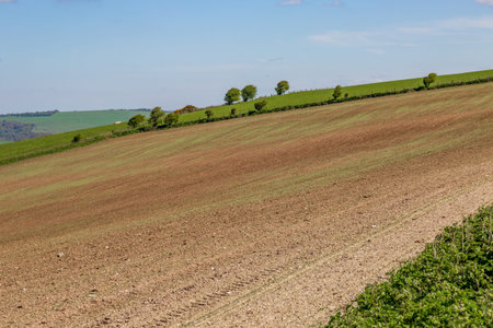 Sussex farmland on a sunny spring day