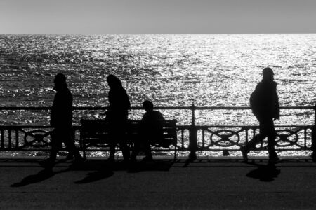 Silhouettes at the Coastの写真素材