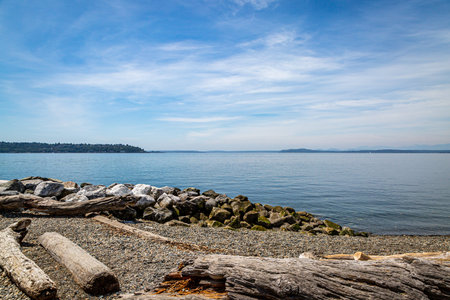 Looking out over the calm water of Elliott Bay, in the city of Seattle