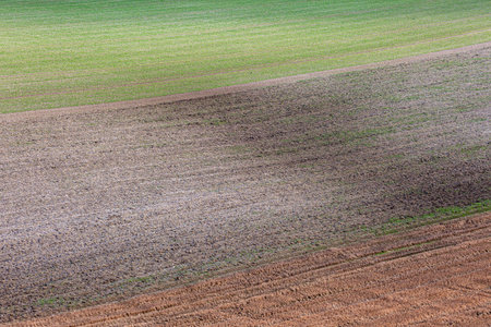 A full frame photograph of farmland, showing different colours in the fields