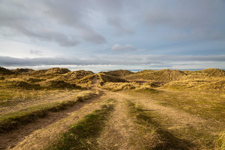 Marram grass covered sand dunes at the coast, in Formby, Merseyside
