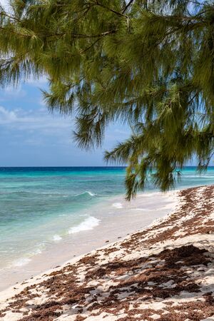 A deserted beach on the Caribbean island of Barbadosの写真素材