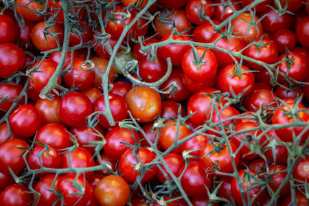 A full frame photograph of ripe cherry tomatoes for sale on a farmers market stallの写真素材