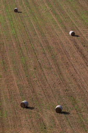 Looking down on hay bales in a field in Sussex, in the late summer sunshine