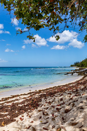 A view from a beach, on the Caribbean island of Barbadosの写真素材