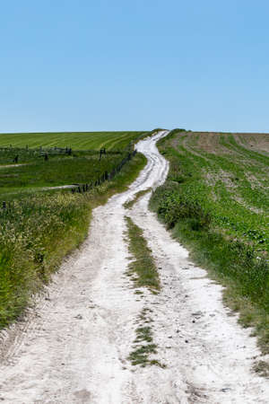 A chalk pathway through farmland in the South Downsの写真素材