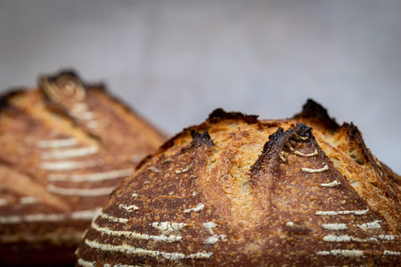 Two loaves of sourdough bread, with a shallow depth of field