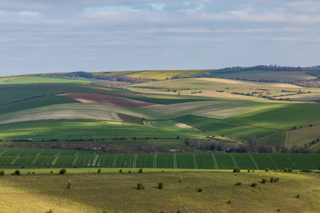 Rolling Hills in the South Downs on a Spring Morning