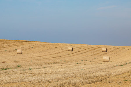Hay bales in the Isle of Wight countryside on a sunny summers morning