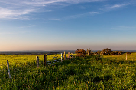 Fields in the South Downs on a sunny early summers evening