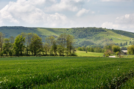 Looking towards Kingston Ridge in Sussex, on a sunny late spring day