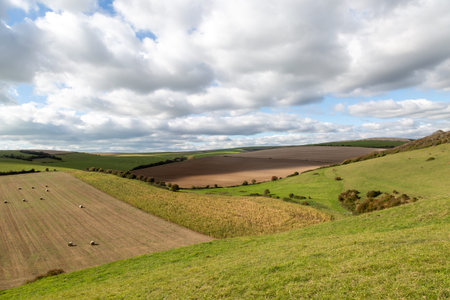 An Autumnal South Downs View over Farmland