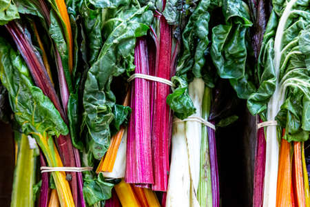 A Full Frame Photograph of Vibrant Rainbow Chardの写真素材