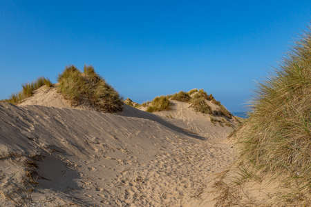 Looking out between sand dunes towards the sea, on the Merseyside Coastの写真素材