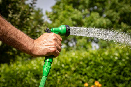 A garden being watered with a hosepipeの写真素材