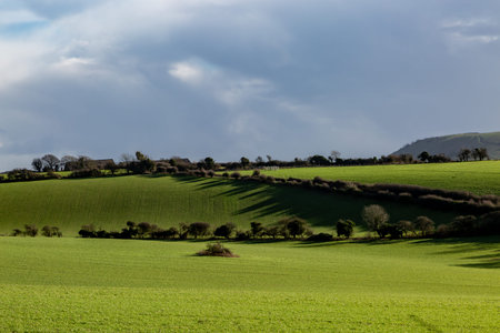 Looking out over a green Sussex landscape on a sunny winter's day