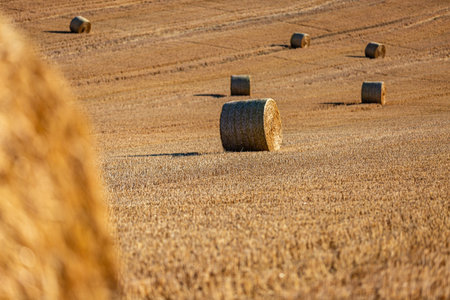 Hay bales after harvesting, on a summer's day in Sussex