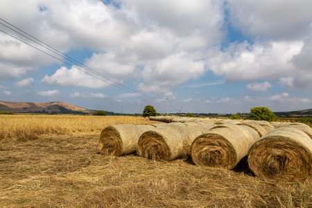 A rural Sussex summer landscape with hay bales in a fieldの写真素材
