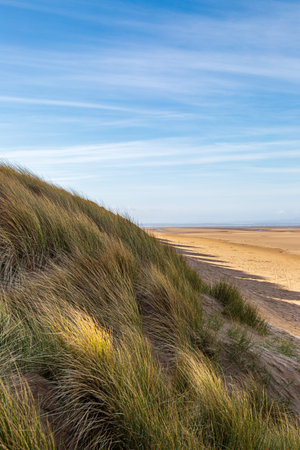 Sand dunes and the beach, at Formby on the Merseyside coast