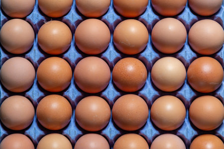 A full frame photograph looking down at eggs in a cardboard egg box