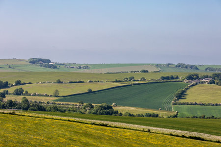 Looking out over a green South Downs rolling landscape on a sunny early summer's evening