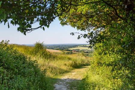 A pathway in the South Downs at High-and-over, on a sunny summer's day