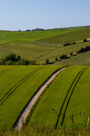 Farmland in Sussex on a sunny summer's day